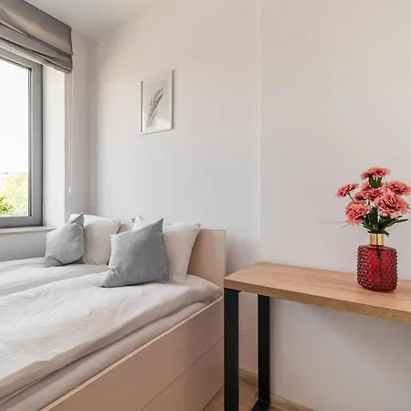 Rentplanet - Dyrekcyjna *