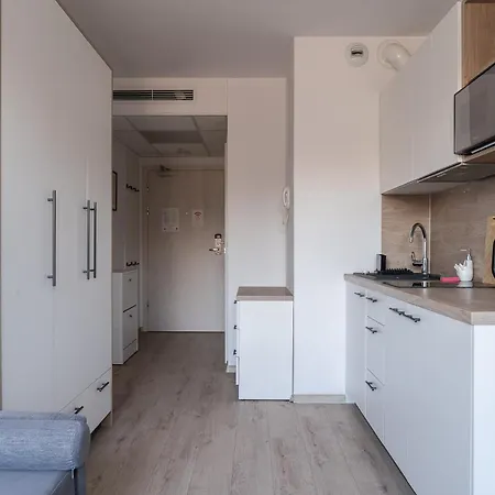 Rentplanet - Dyrekcyjna